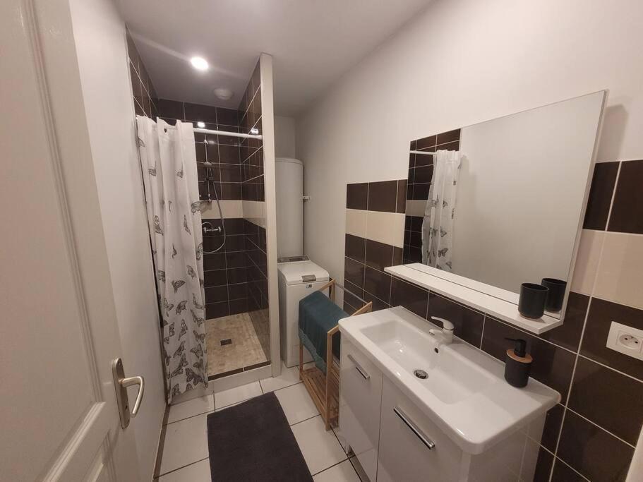 Appartement Sur La Place De Poncin Екстериор снимка