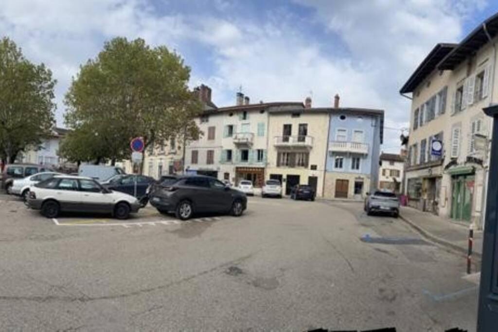 Appartement Sur La Place De Poncin Екстериор снимка